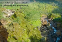 Penelitian Terbaru: Keberagaman Hayati Gunung Galunggung yang Menginspirasi