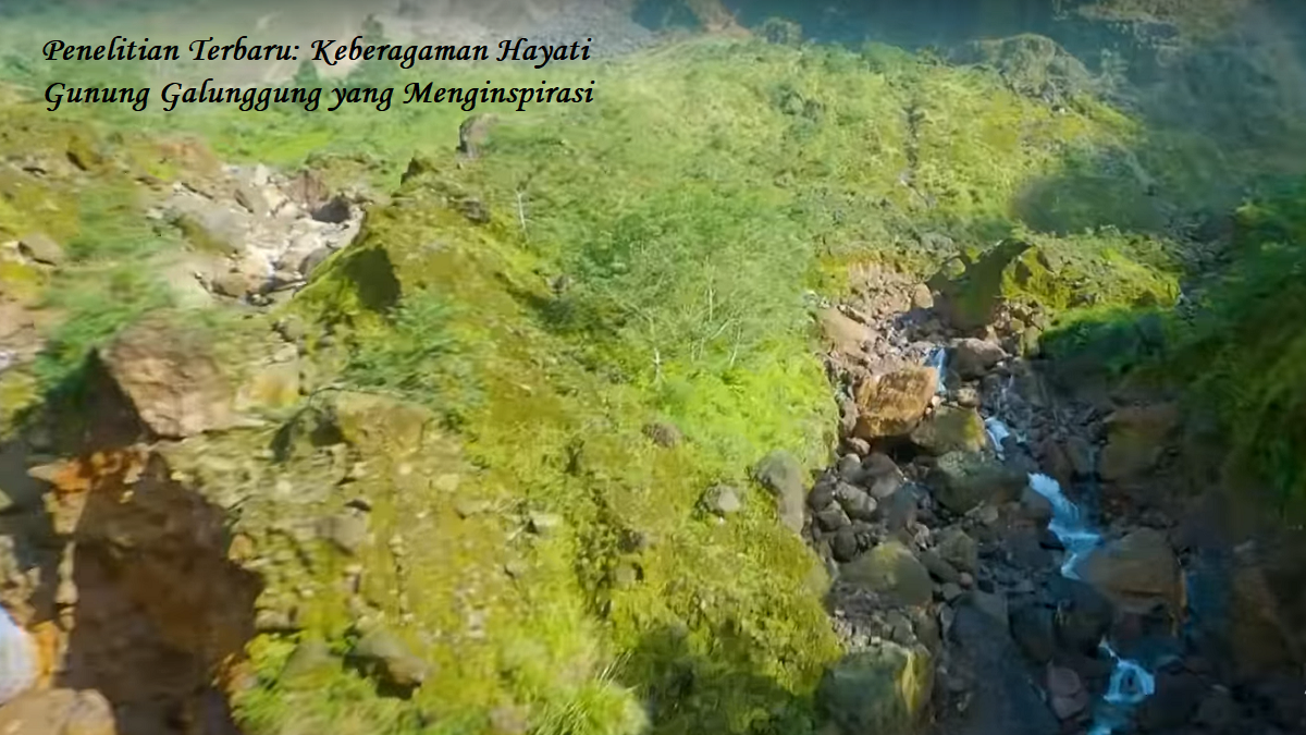 Penelitian Terbaru: Keberagaman Hayati Gunung Galunggung yang Menginspirasi