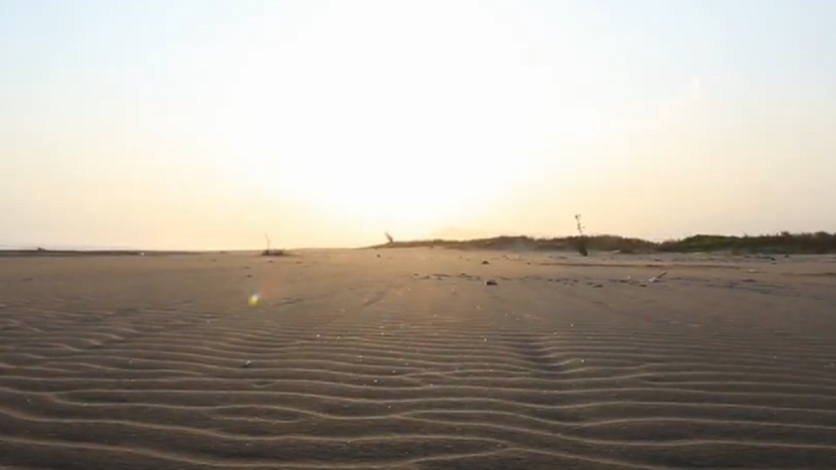 Pantai Cipatujah 2024
