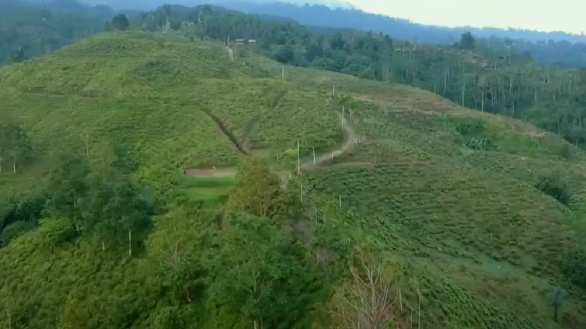Bukit Kacapi 10