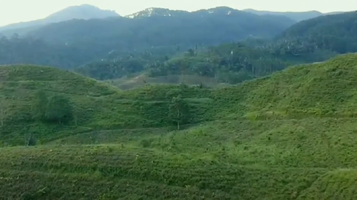 Bukit Kacapi 11