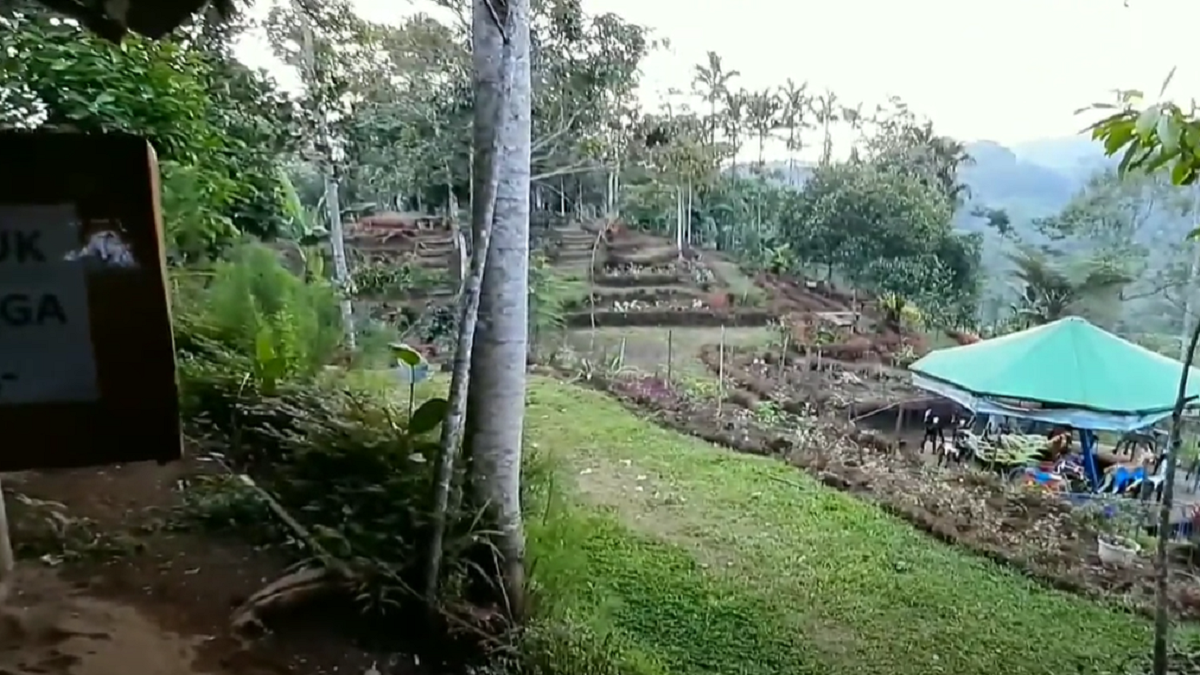 Bukit Kacapi 8
