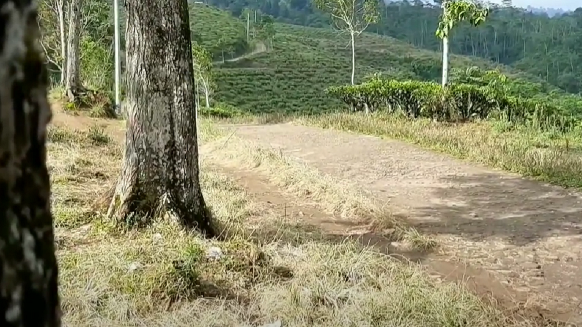 Bukit Kacapi